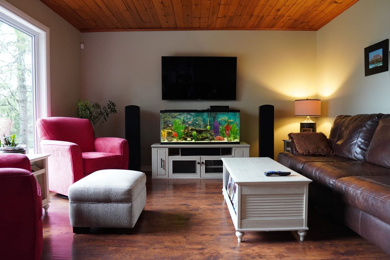 Where the Living Room Comes Alive