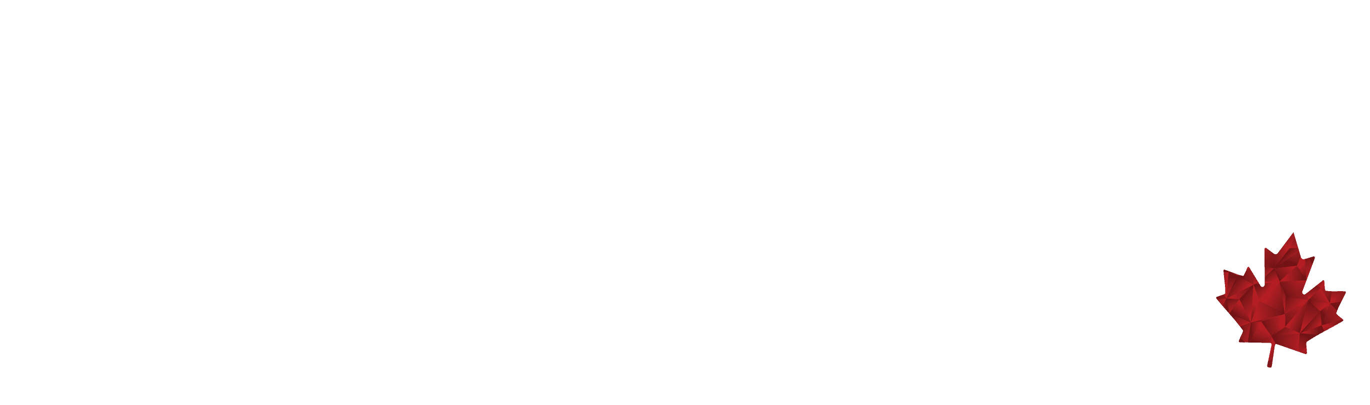 McKee Security & Audio Systems
